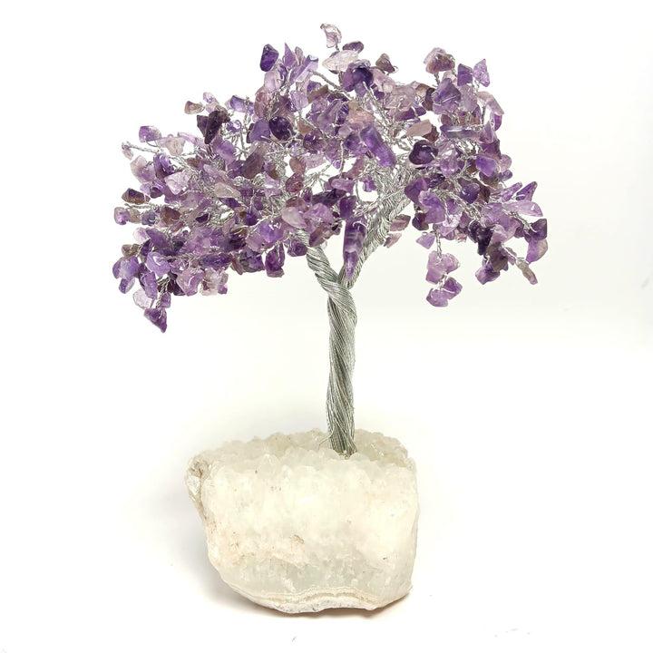Zeolite Apophyllite Tree of Life: Amethyst - The Harmony Store
