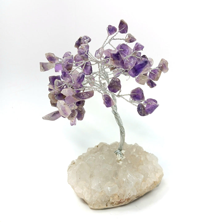 Zeolite Apophyllite Tree of Life: Amethyst - The Harmony Store