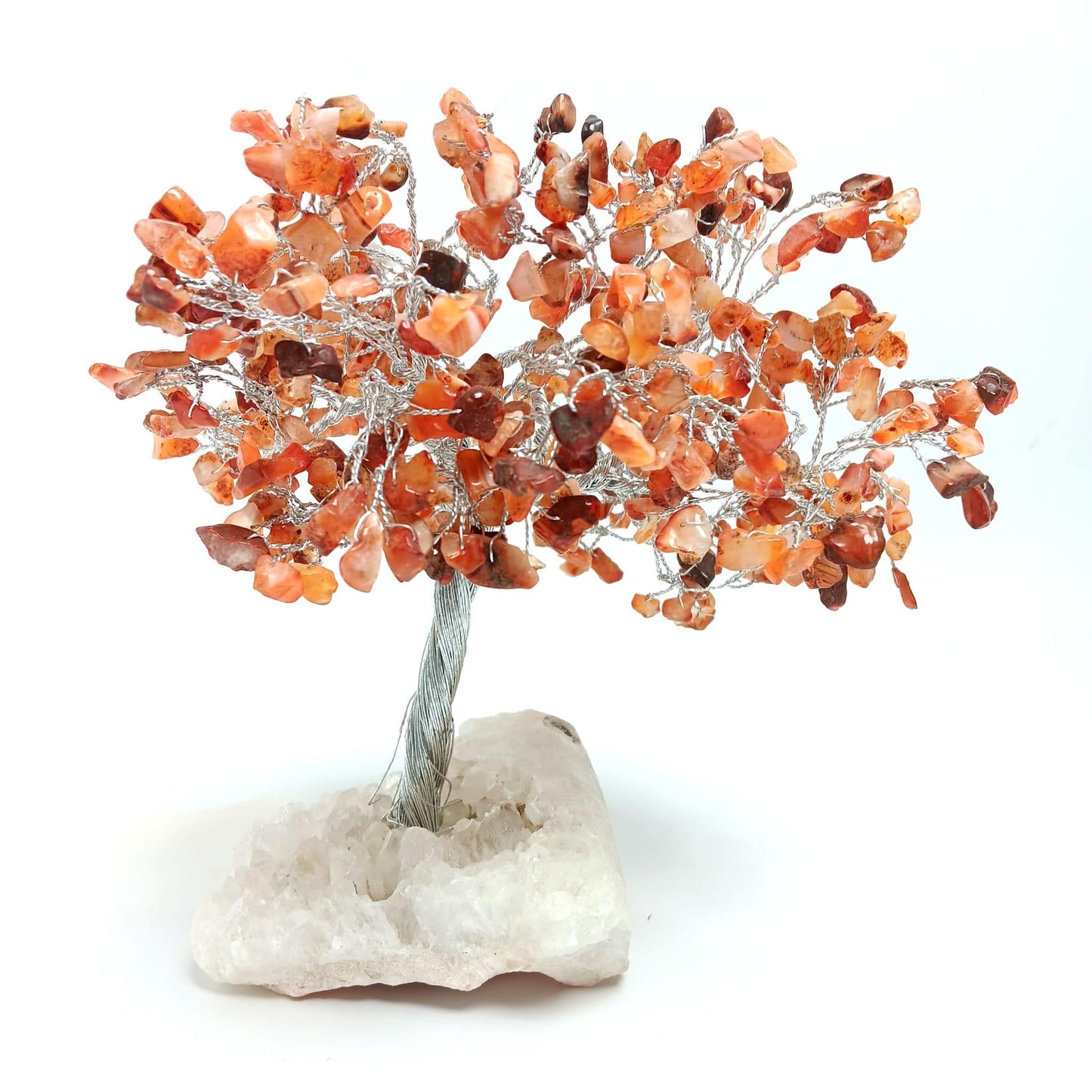 Zeolite Apophyllite Tree of Life: Carnelian - The Harmony Store
