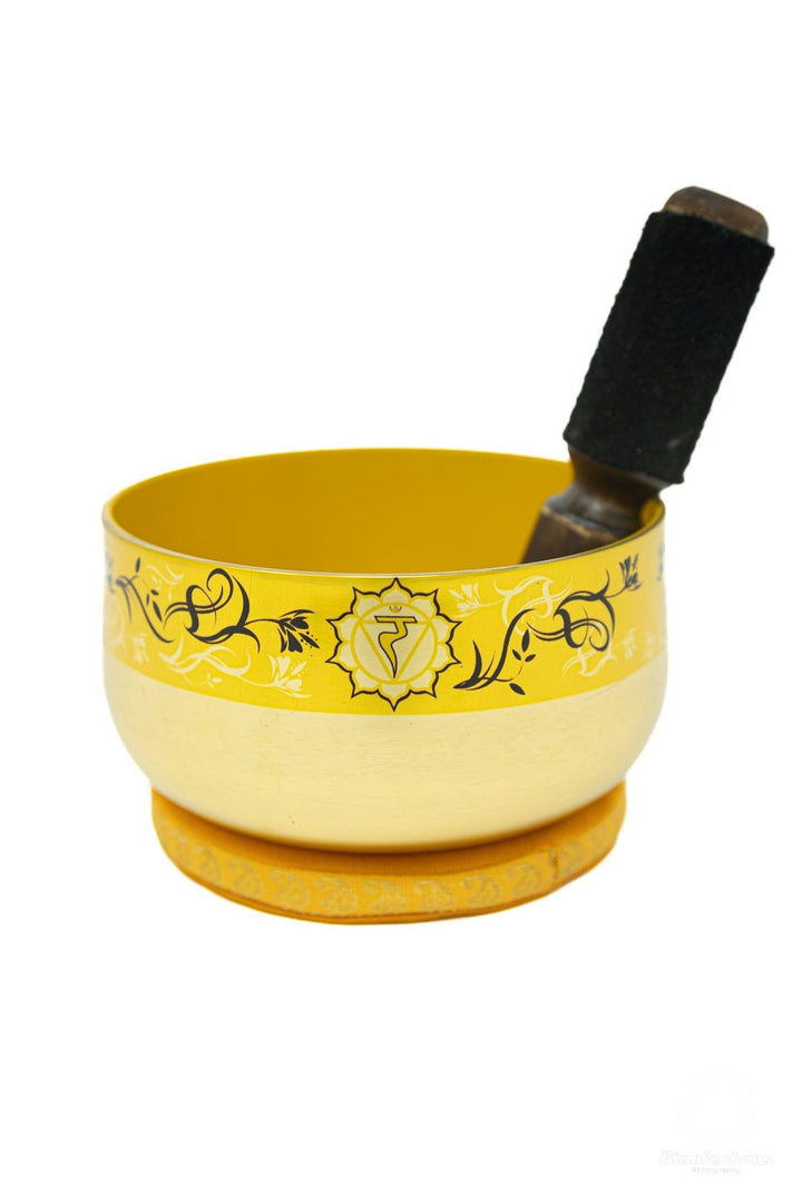 6-Inch Chakra Singing Bowl | The Harmony Store Singing Bowl
