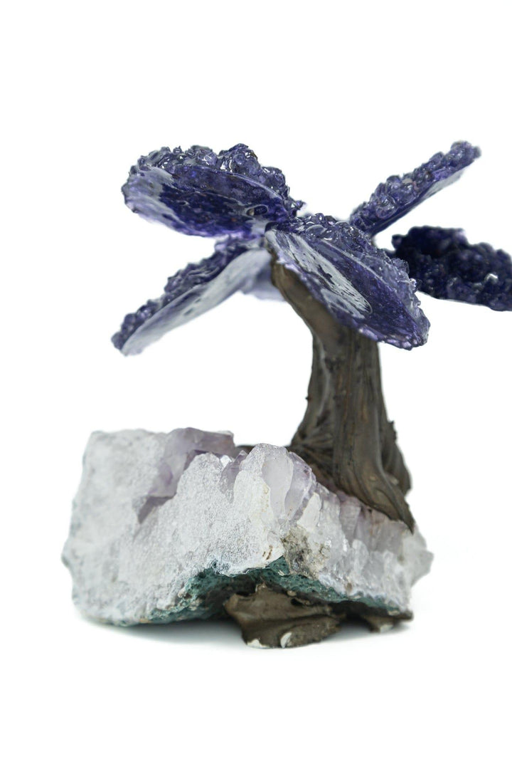 Amethyst Crystal Tree | Gemstone Tree | The Harmony Store Crystal Tree