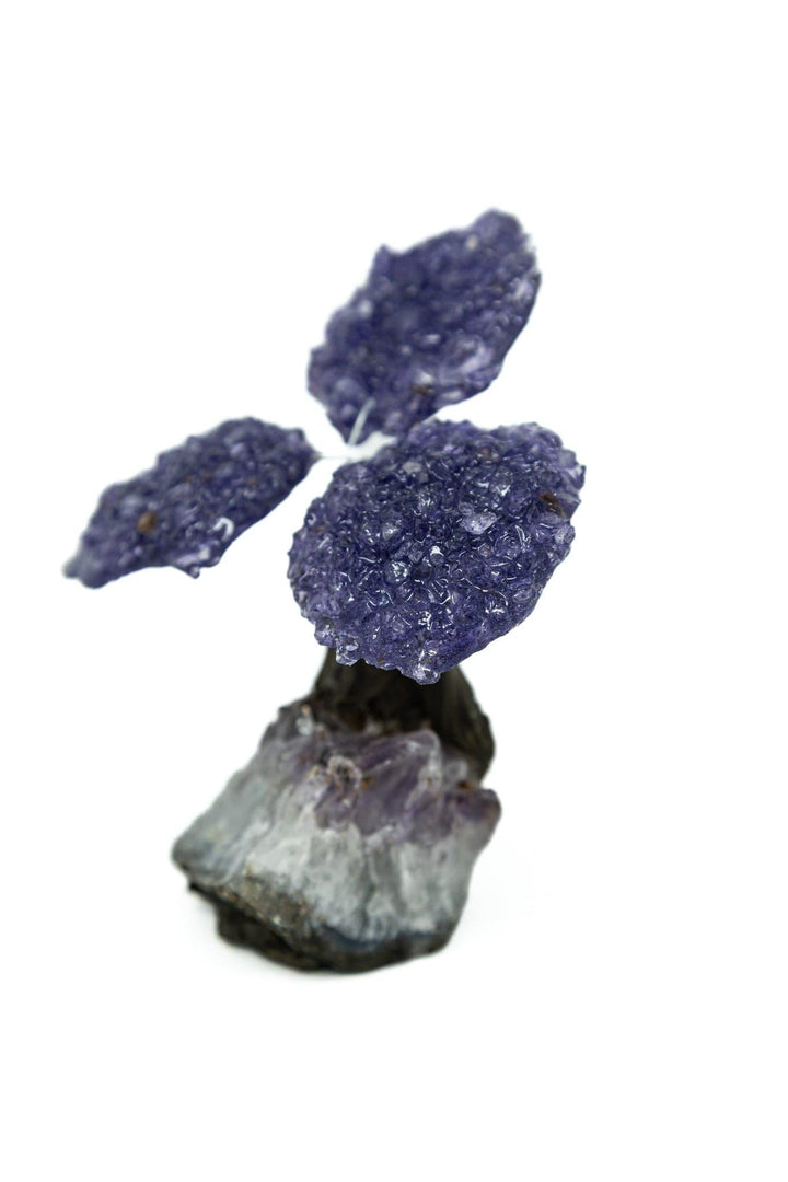 Amethyst Crystal Tree | Gemstone Tree | The Harmony Store Crystal Tree