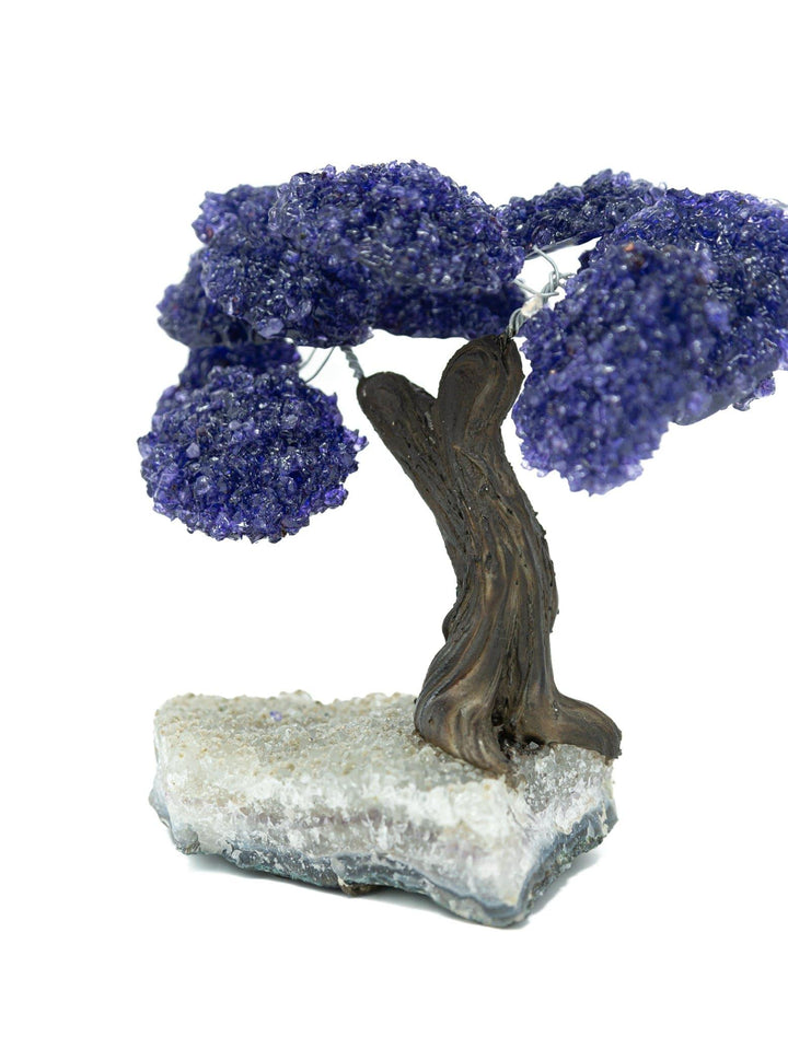 Amethyst Crystal Tree | Gemstone Tree | The Harmony Store Crystal Tree