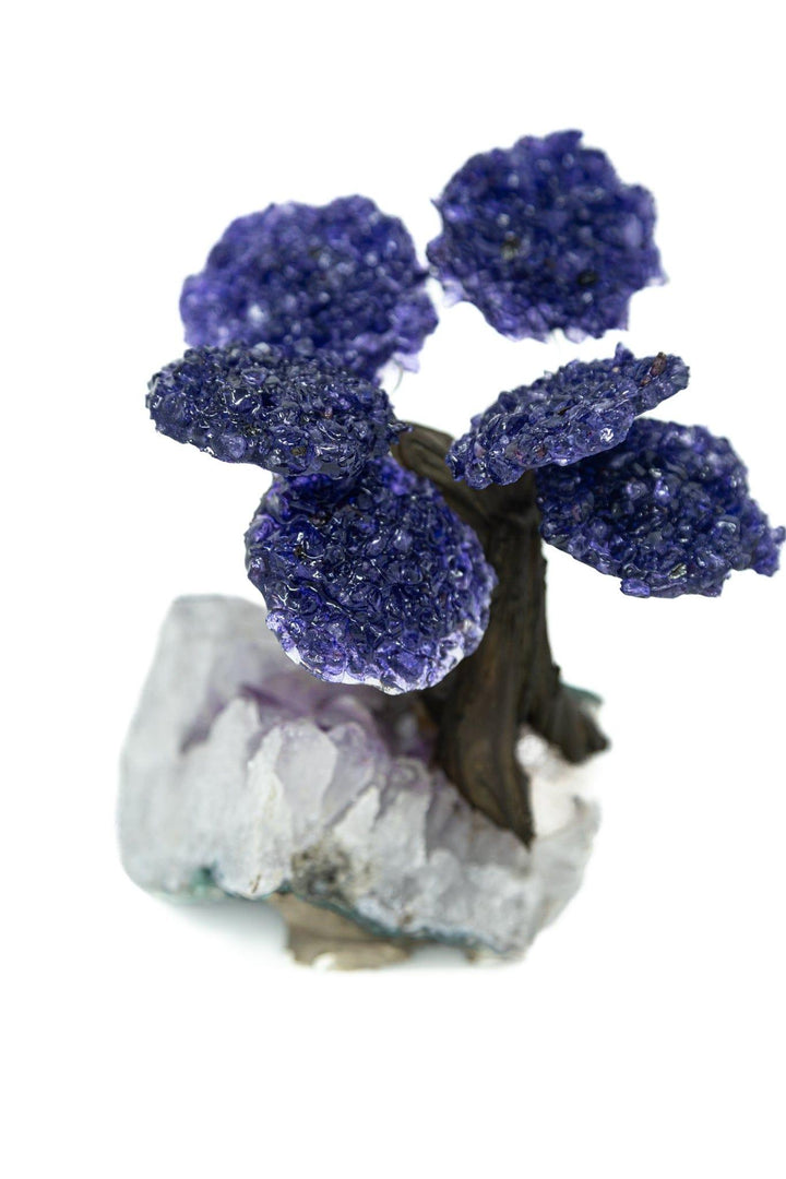 Amethyst Crystal Tree | Gemstone Tree | The Harmony Store Crystal Tree