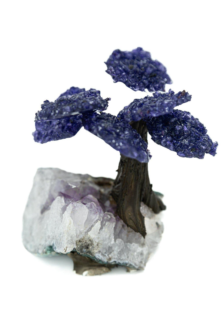 Amethyst Crystal Tree | Gemstone Tree | The Harmony Store Crystal Tree