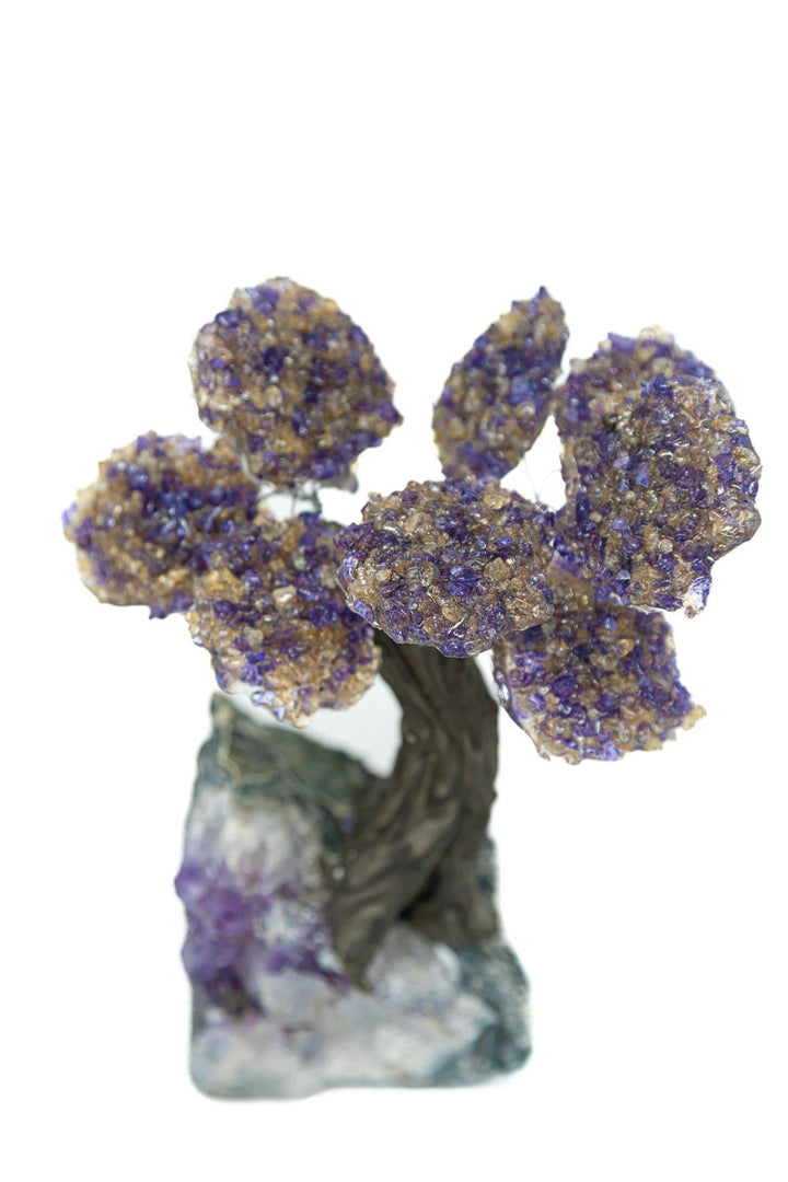 Ametrine Crystal Tree | The Harmony Store Crystal Tree