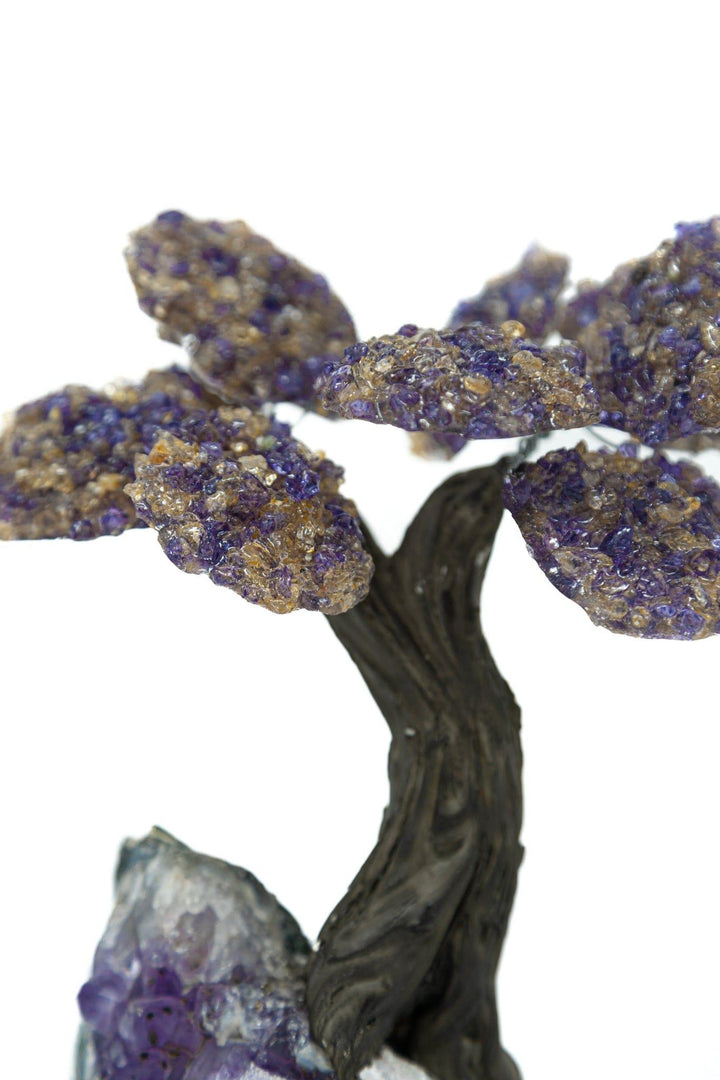 Ametrine Crystal Tree | The Harmony Store Crystal Tree