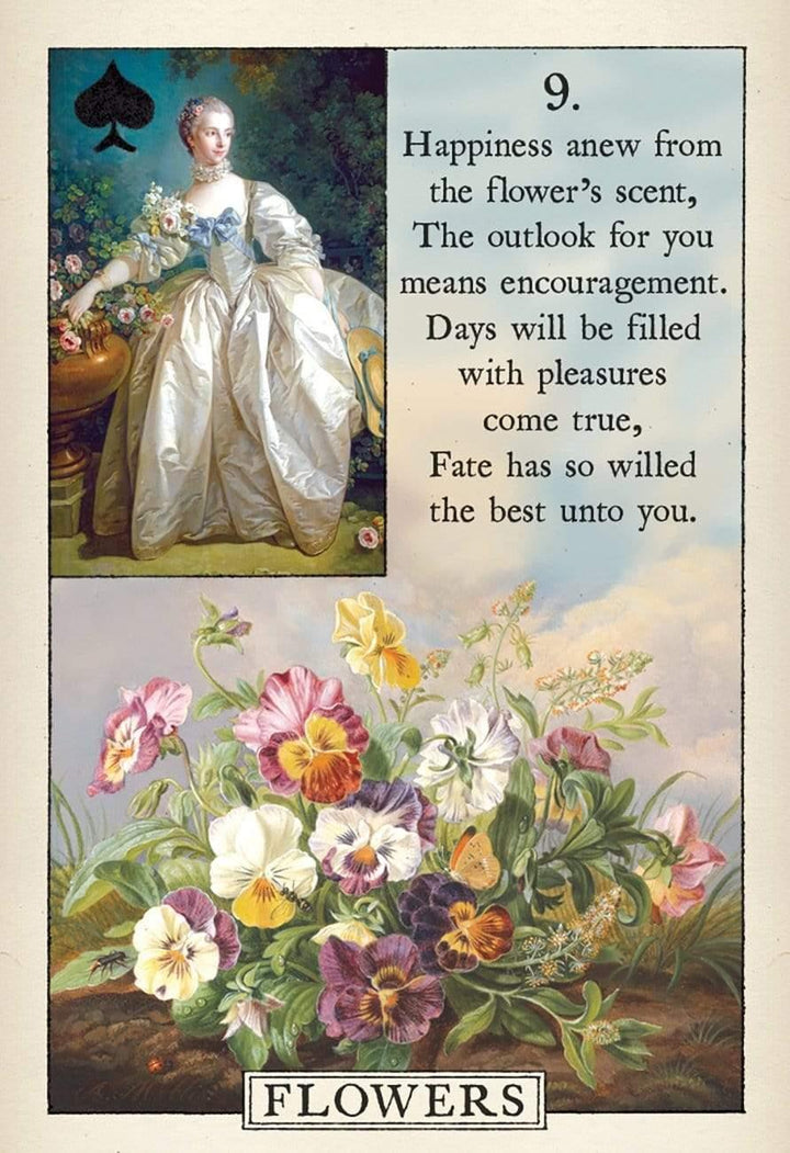 Blue Bird Lenormand Cards | The Harmony Store Book