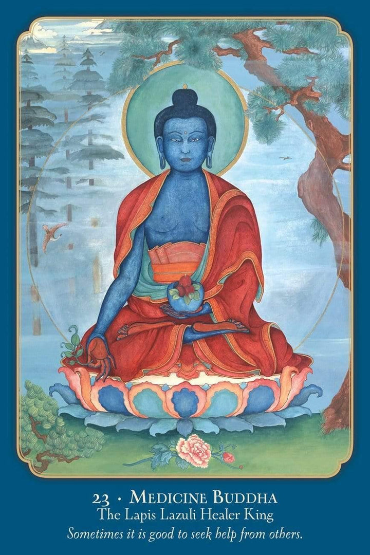 Buddha Wisdom Shakti Power Deck | The Harmony Store Oracle Deck