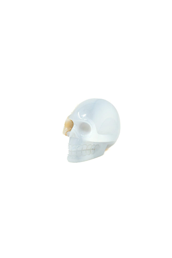 Chalcedony Crystal Skull | The Harmony Store Skull