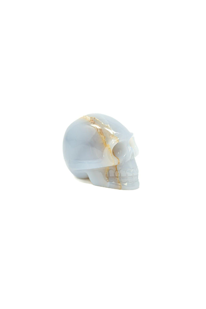 Chalcedony Crystal Skull | The Harmony Store Skull