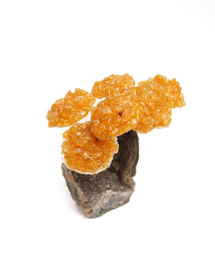 Citrine Gemstone Tree | Abundance &amp; Success | Harmony Store Crystal Tree
