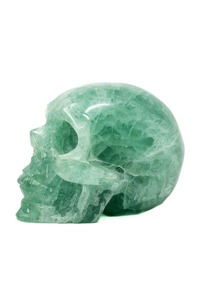 Fluorite Skull Large 4in 1.5kg | Harmony Skull