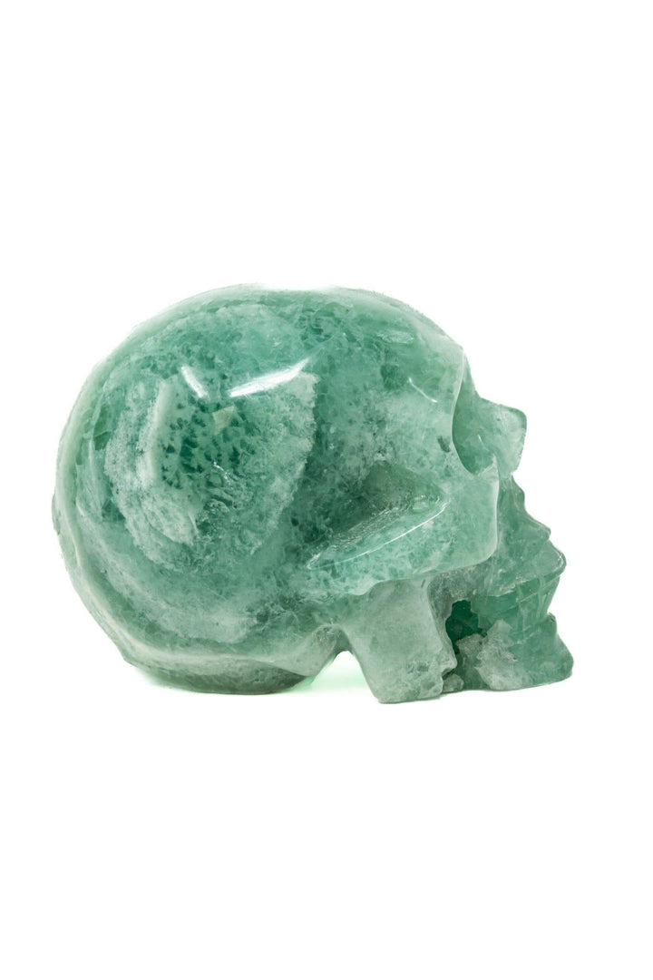 Fluorite Skull Large 4in 1.5kg | Harmony Skull