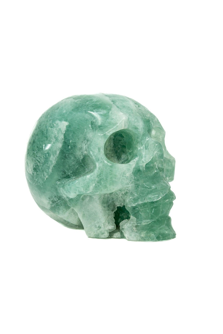 Fluorite Skull Large 4in 1.5kg | Harmony Skull