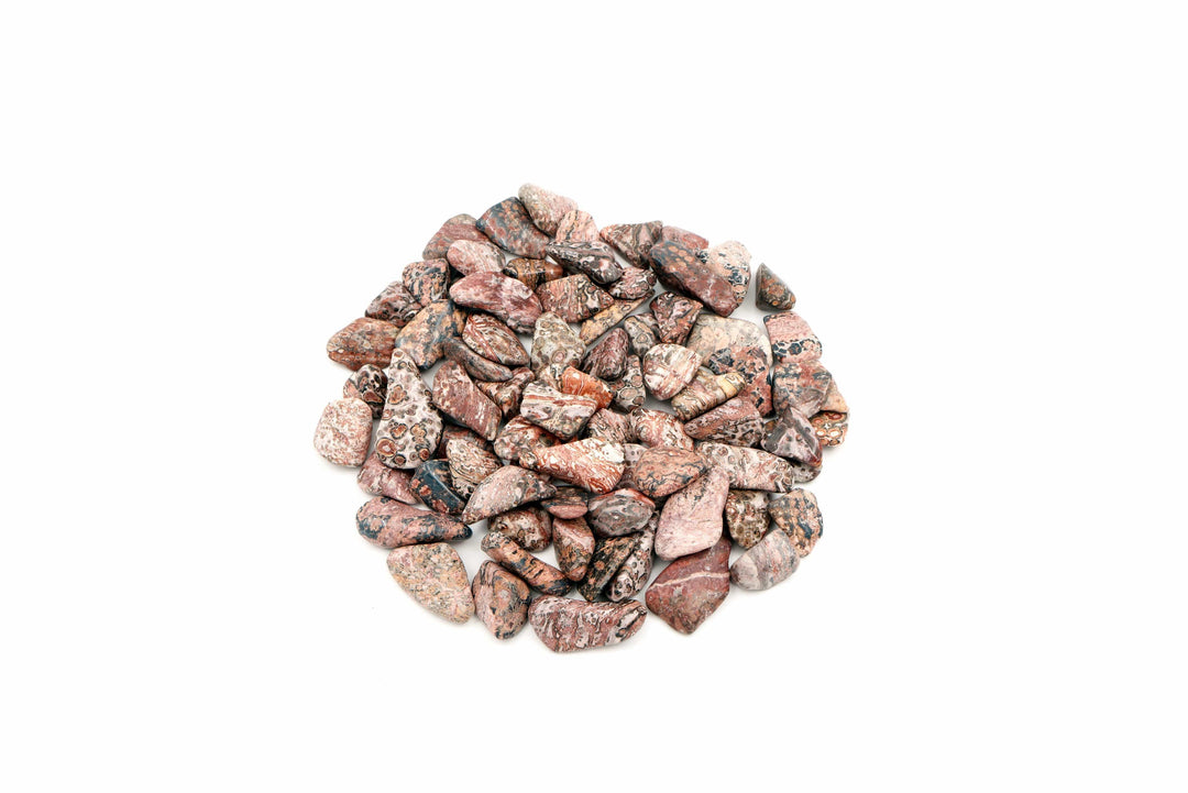 Leopard Skin Jasper Tumbled Stone | Harmony Store Tumbled Stone