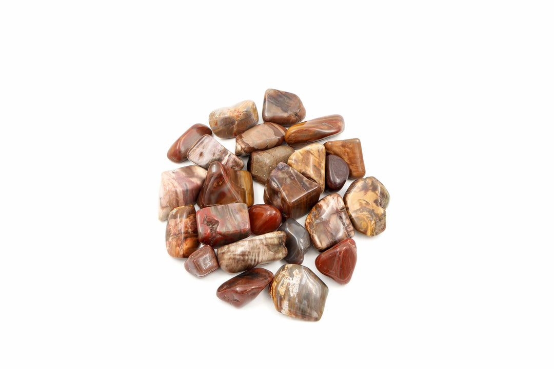 Petrified Wood Tumbled Stone Crystal Tumbled