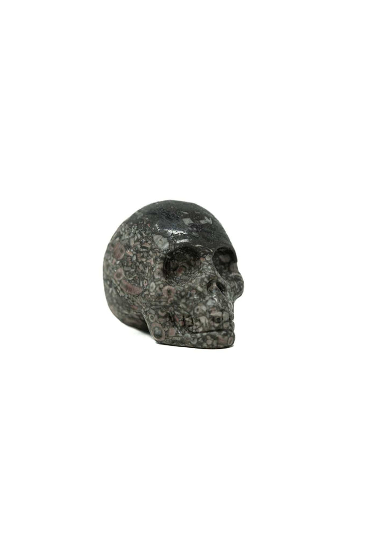 Picture Jasper Skull Hand Carved