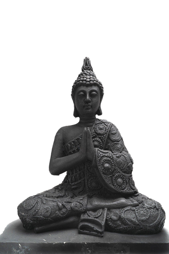 Shungite Buddha Statue | The Harmony Store Figurine