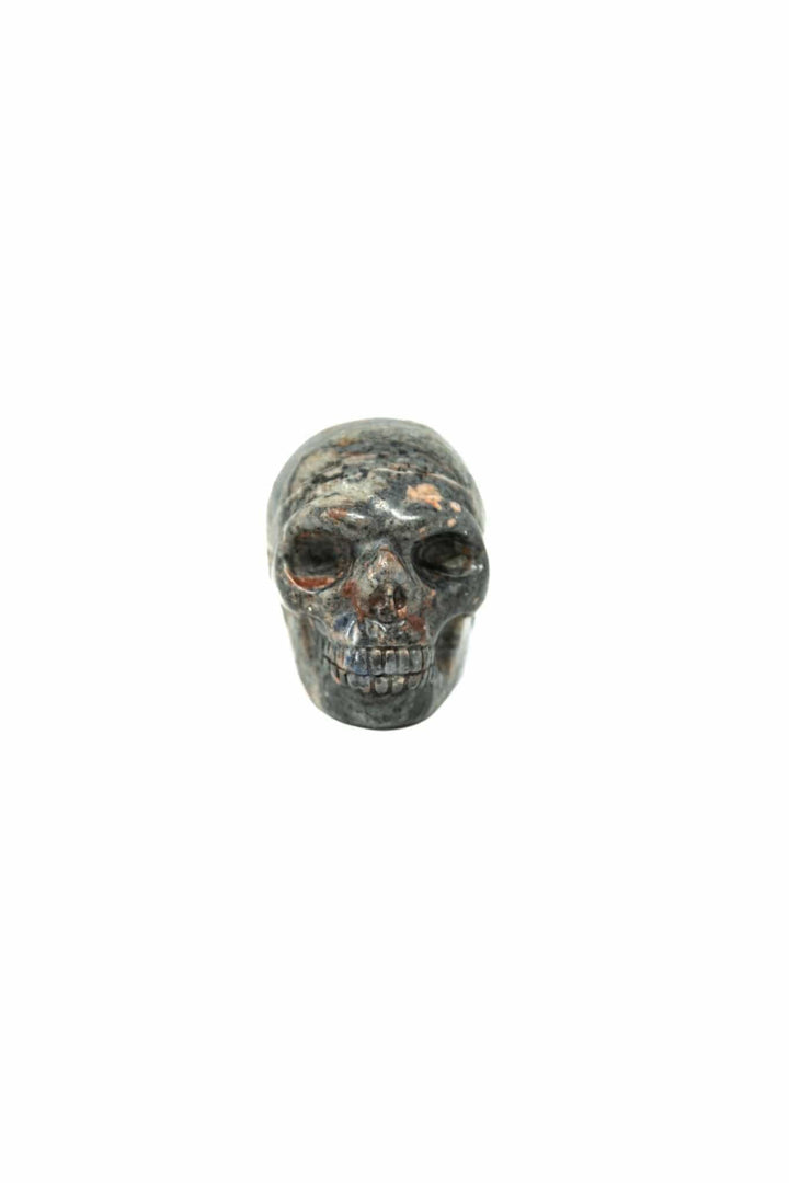 Sodalite Skull | The Harmony Store Skull
