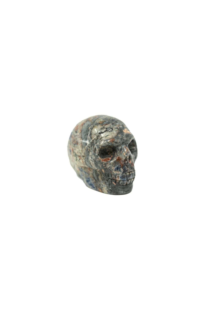 Sodalite Skull | The Harmony Store Skull