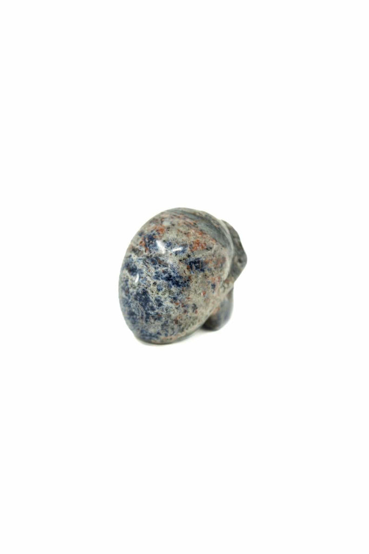 Sodalite Skull | The Harmony Store Skull