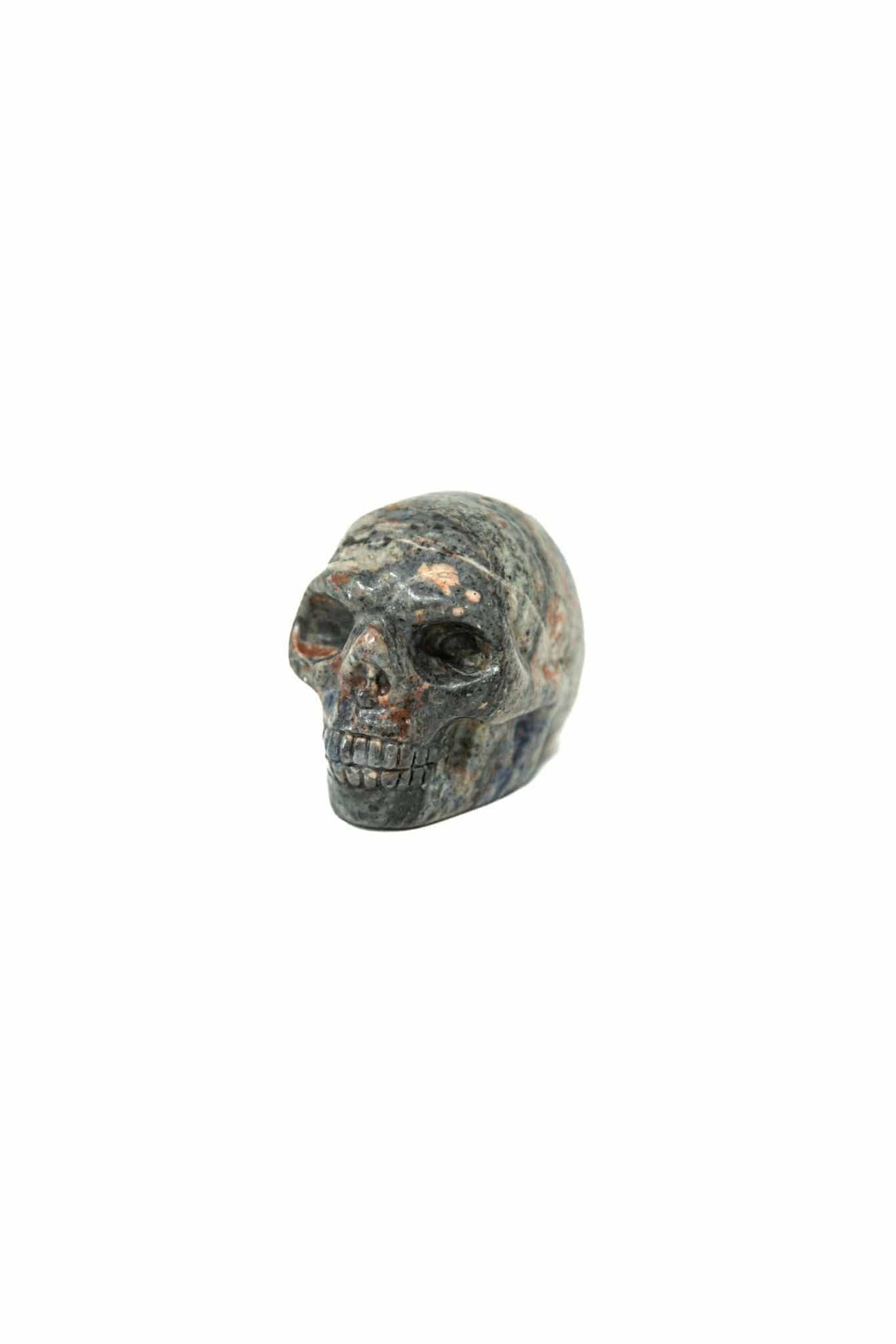 Sodalite Skull | The Harmony Store Skull