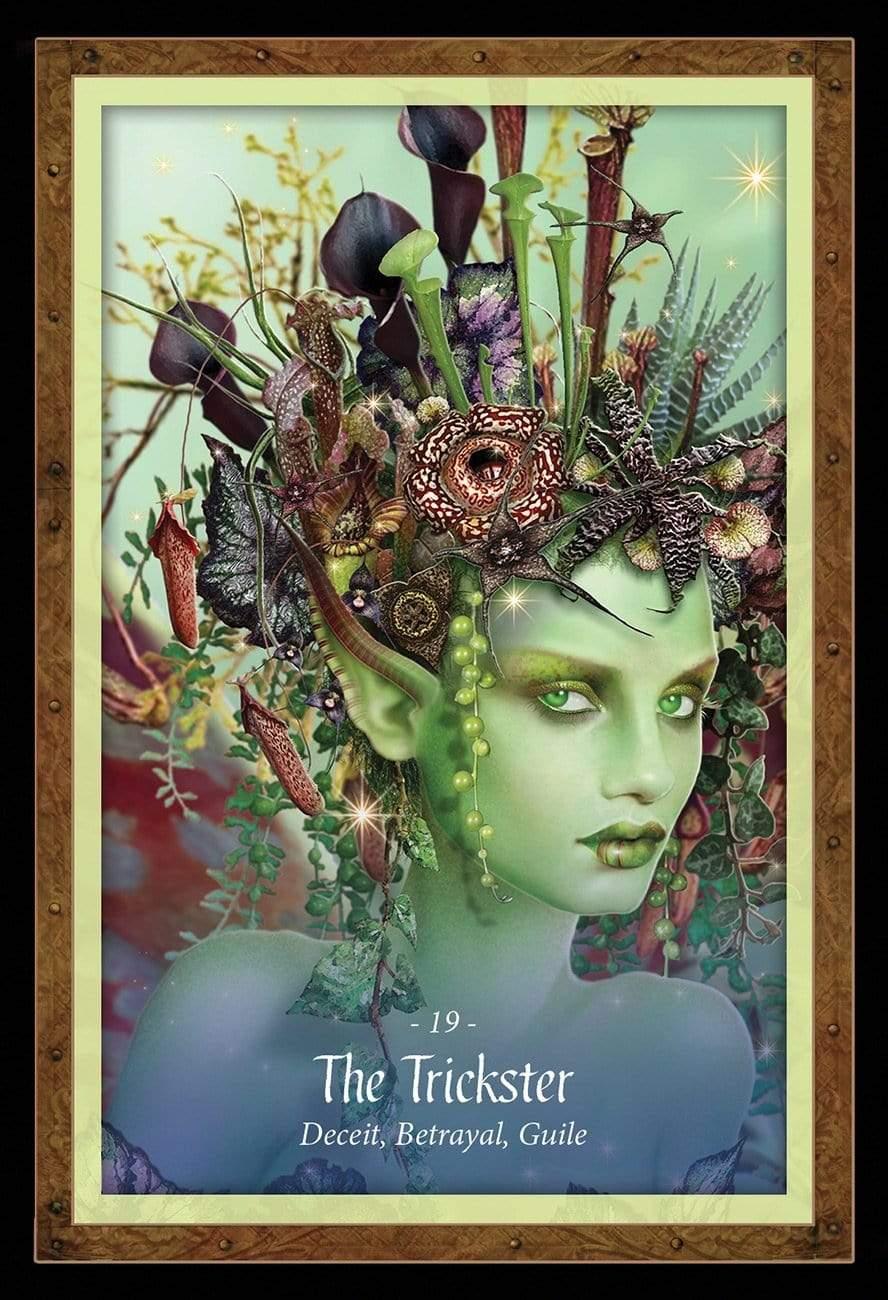 The Faery Forest: An Oracle of the Wild Green World Oracle Cards