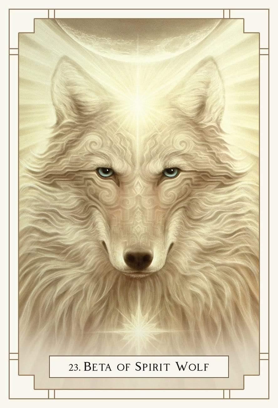 White Light Oracle | The Harmony Store Oracle Deck