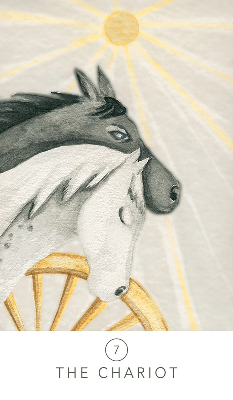 White Sage Tarot | The Harmony Store Tarot Deck