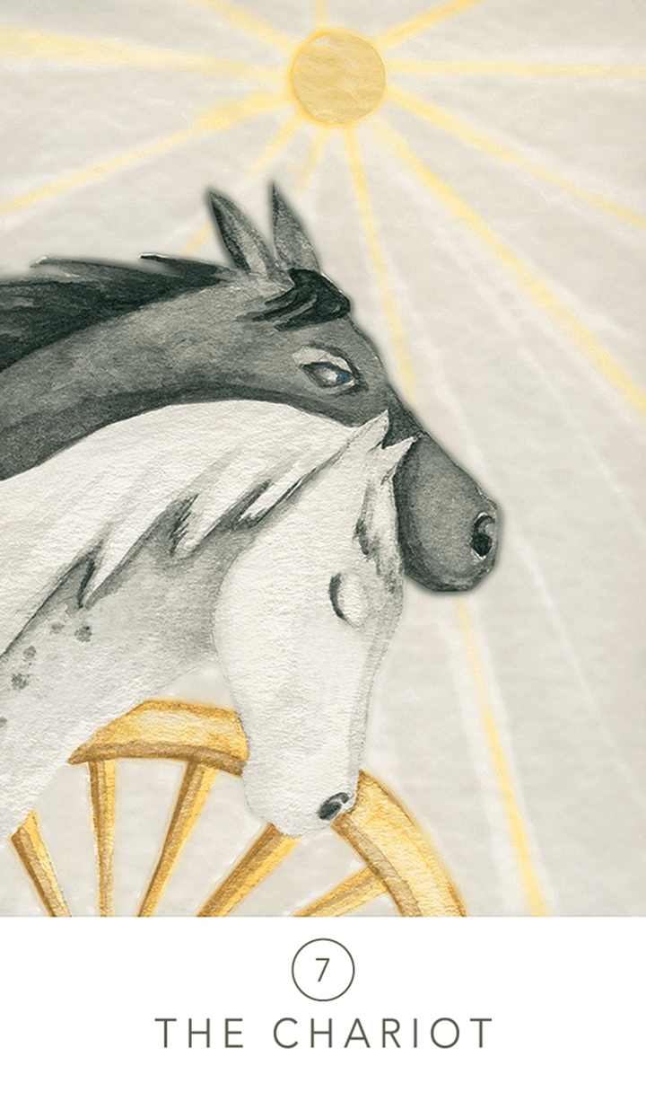 White Sage Tarot | The Harmony Store Tarot Deck