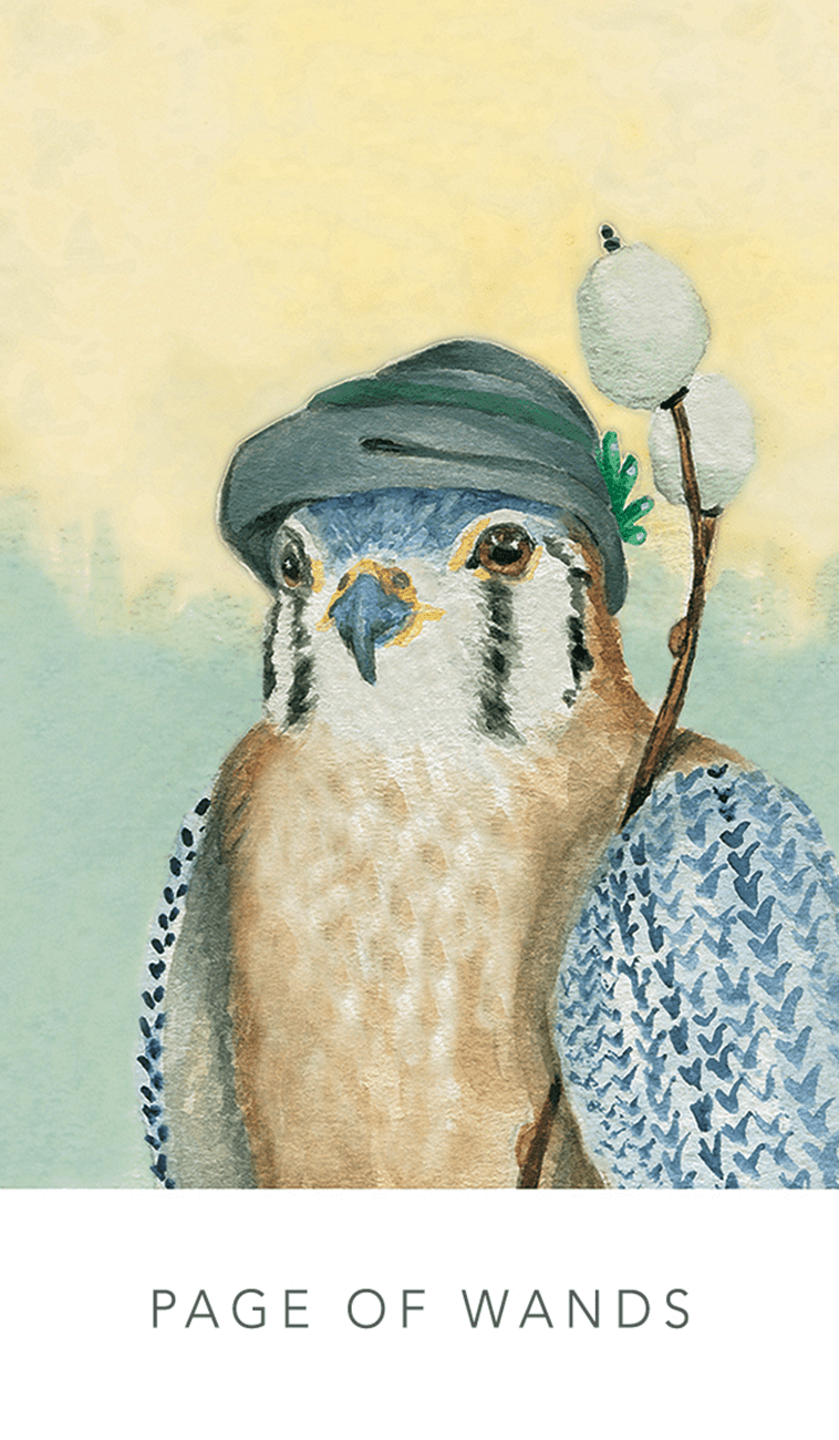White Sage Tarot | The Harmony Store Tarot Deck