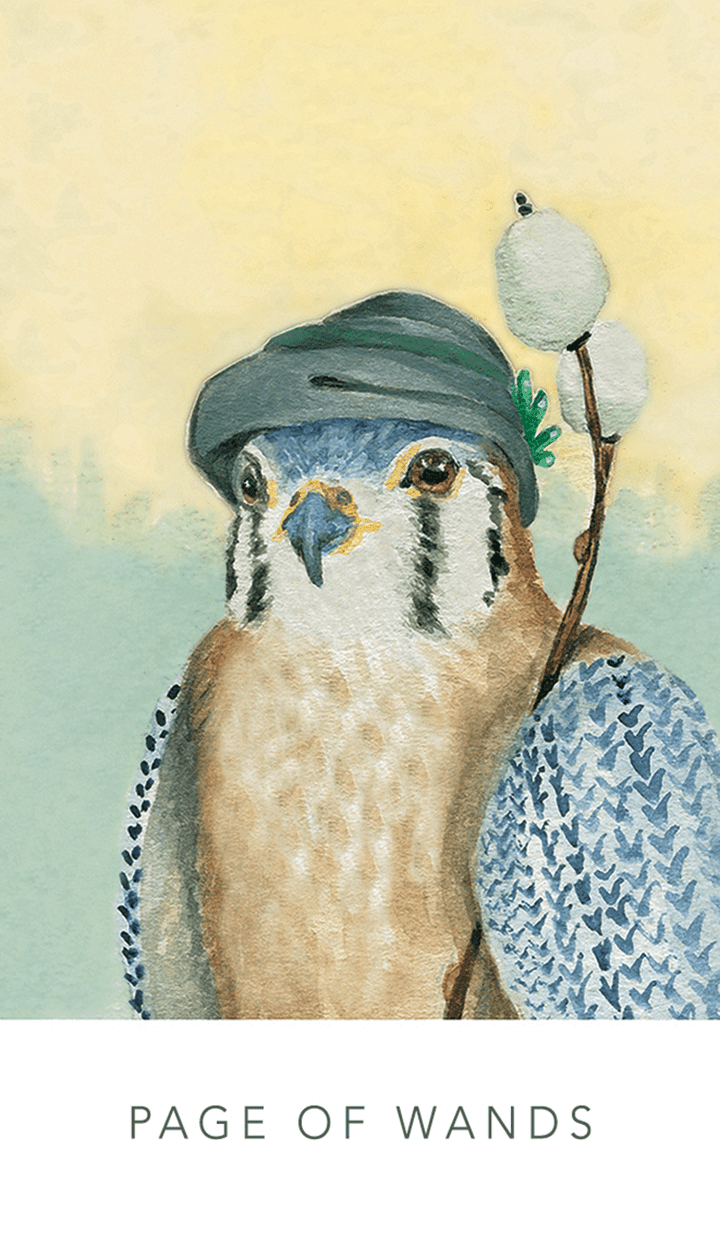 White Sage Tarot | The Harmony Store Tarot Deck