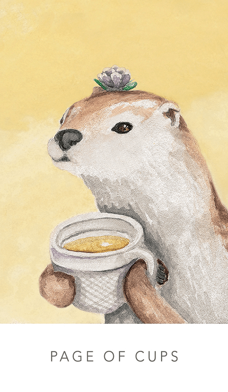 White Sage Tarot | The Harmony Store Tarot Deck